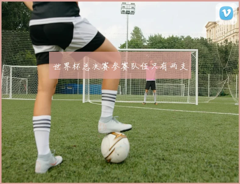 世界杯总决赛参赛队伍只有两支