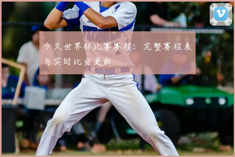 今天世界杯比赛赛程：完整赛程表与实时比分更新